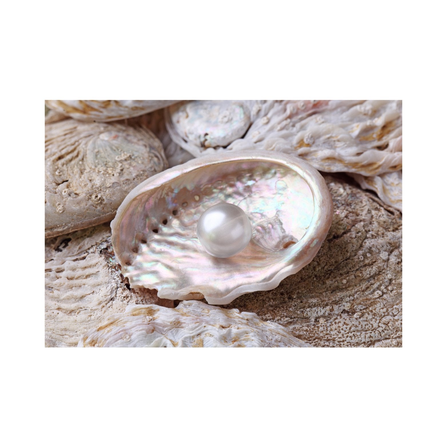 The Pearl Drop Collection