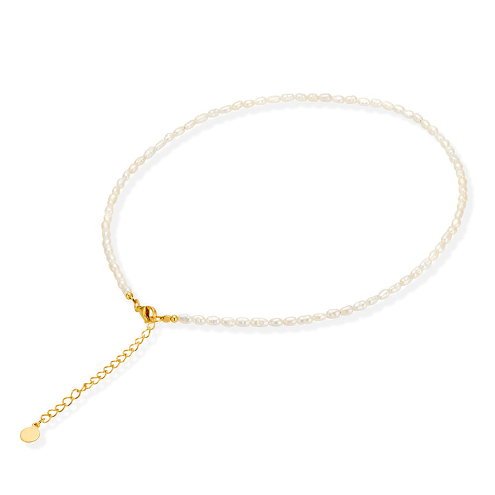 18K Gold Marjaan Seed Pearl Necklace