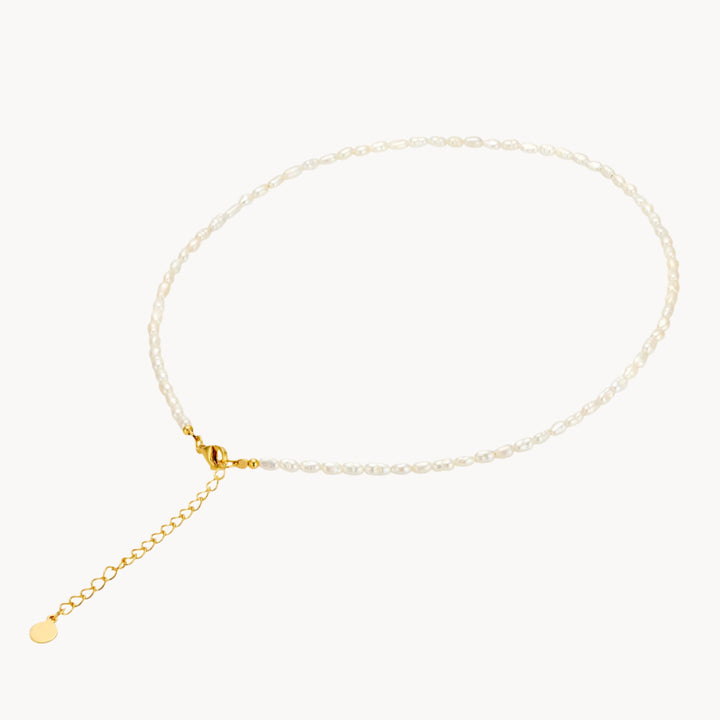 18K Gold Marjaan Seed Pearl Necklace